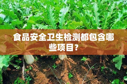 食品安全檢測哪些項(xiàng)目www.fcswkj.net