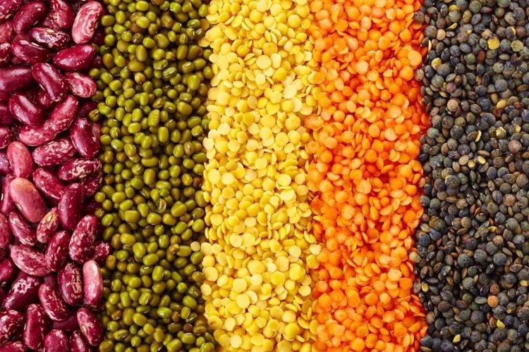 水分作為糧食的天然組成成分